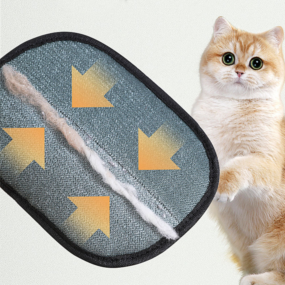 Boutelle FurLift underside lifting pet hair from fabric beside a cat